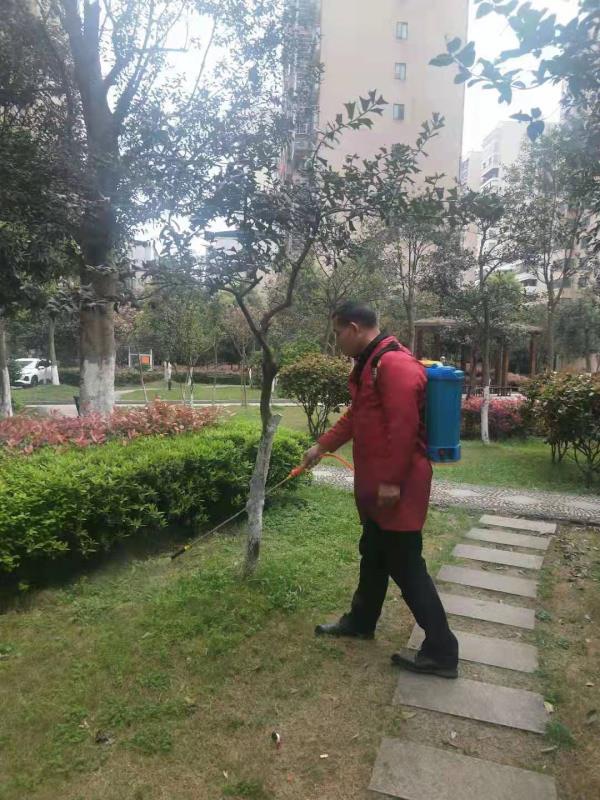 绿化维护